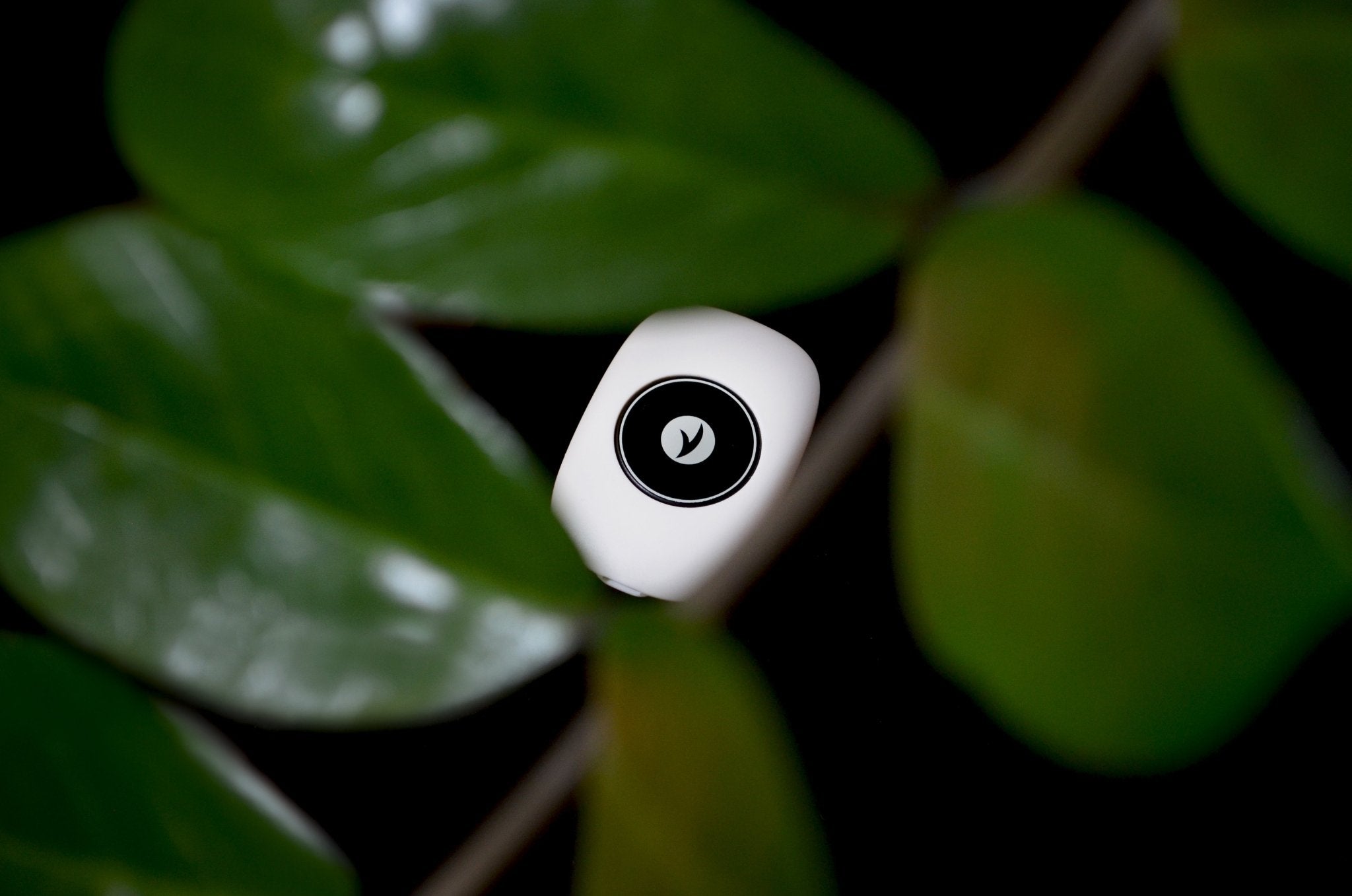 Orthosia R3 Posture Trainer - Orthosia