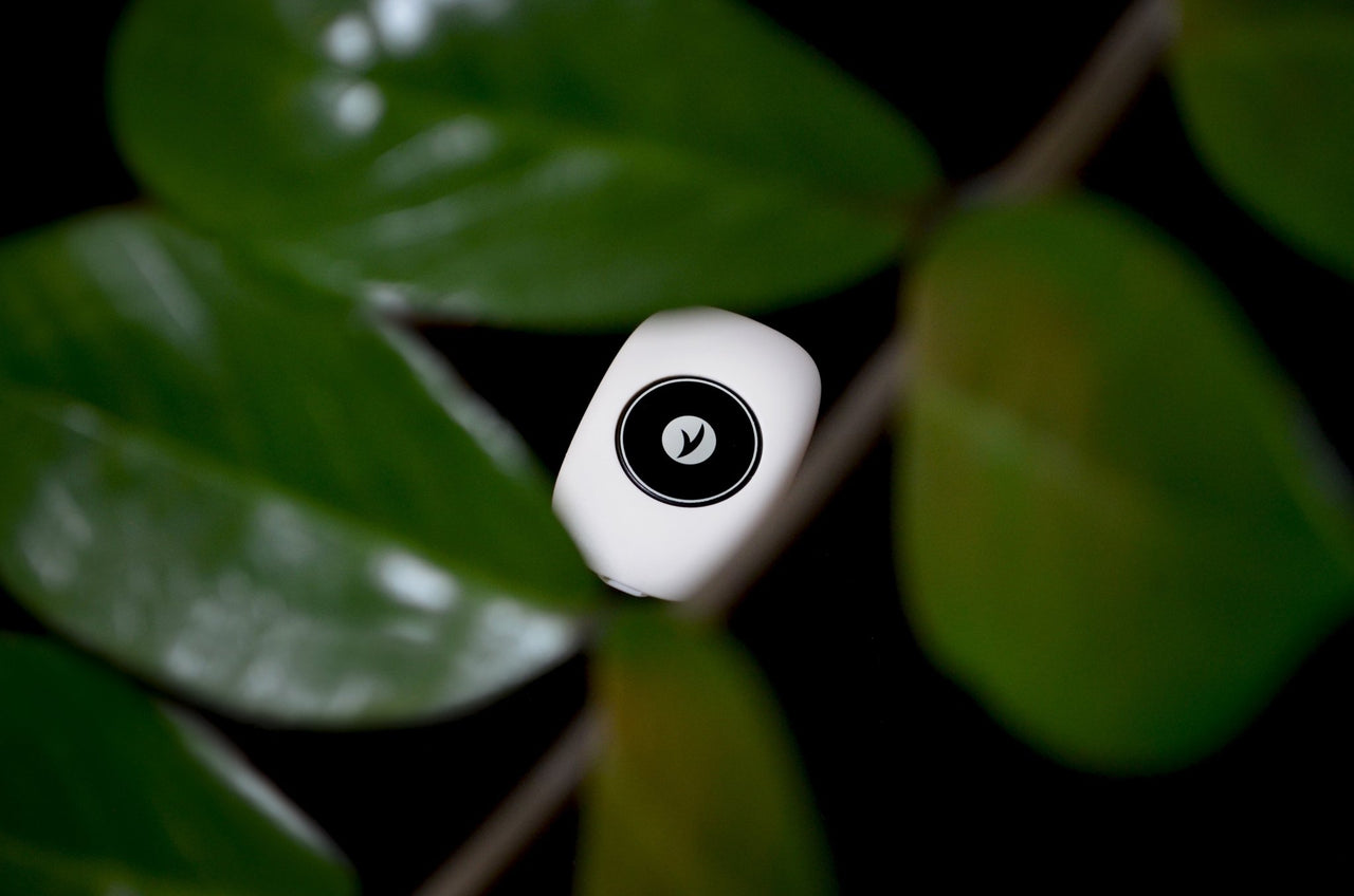 Orthosia R3 Posture Trainer - Orthosia